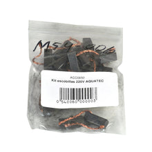 Kit brosses 220V AQUATEC